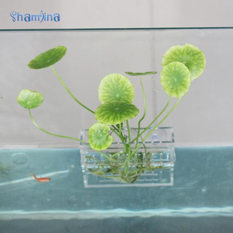 [Shamjina] Water Water Grass Plants Cup Aquarium Plant Holder Decorarion Fortround