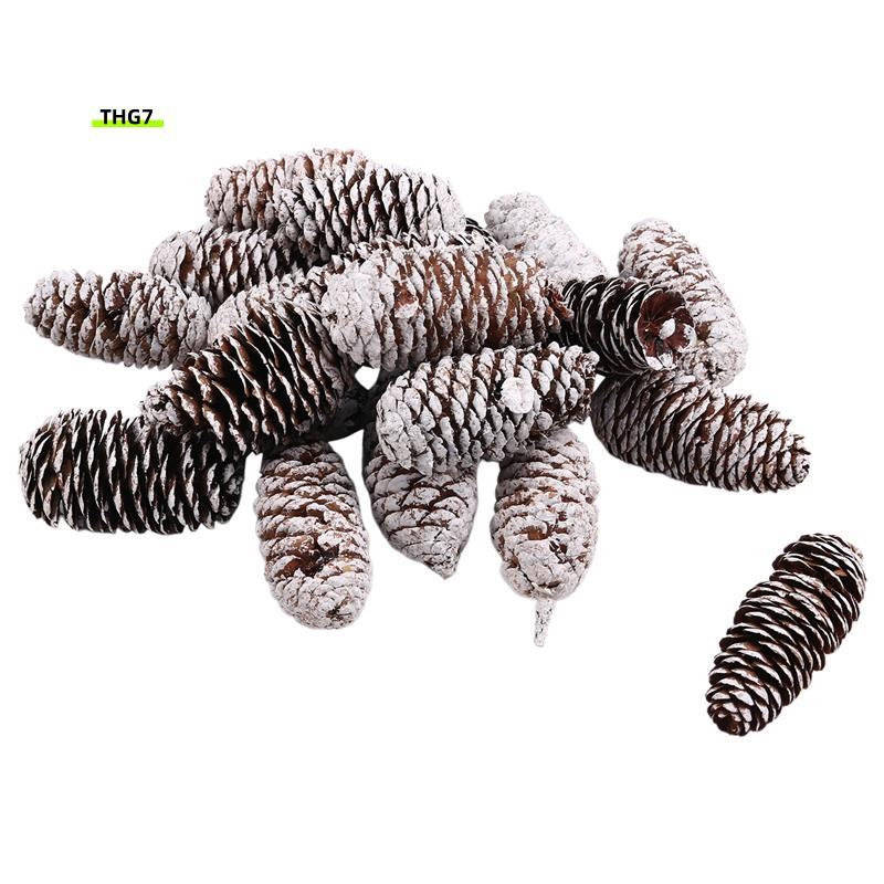 Belinda720 ชิ้น Pine Cones ตกแต่ง,ธรรมชาติ Snow Pine Cones ขนาดใหญ่ Pine Cones คริสต์มาส Pine Cones 
