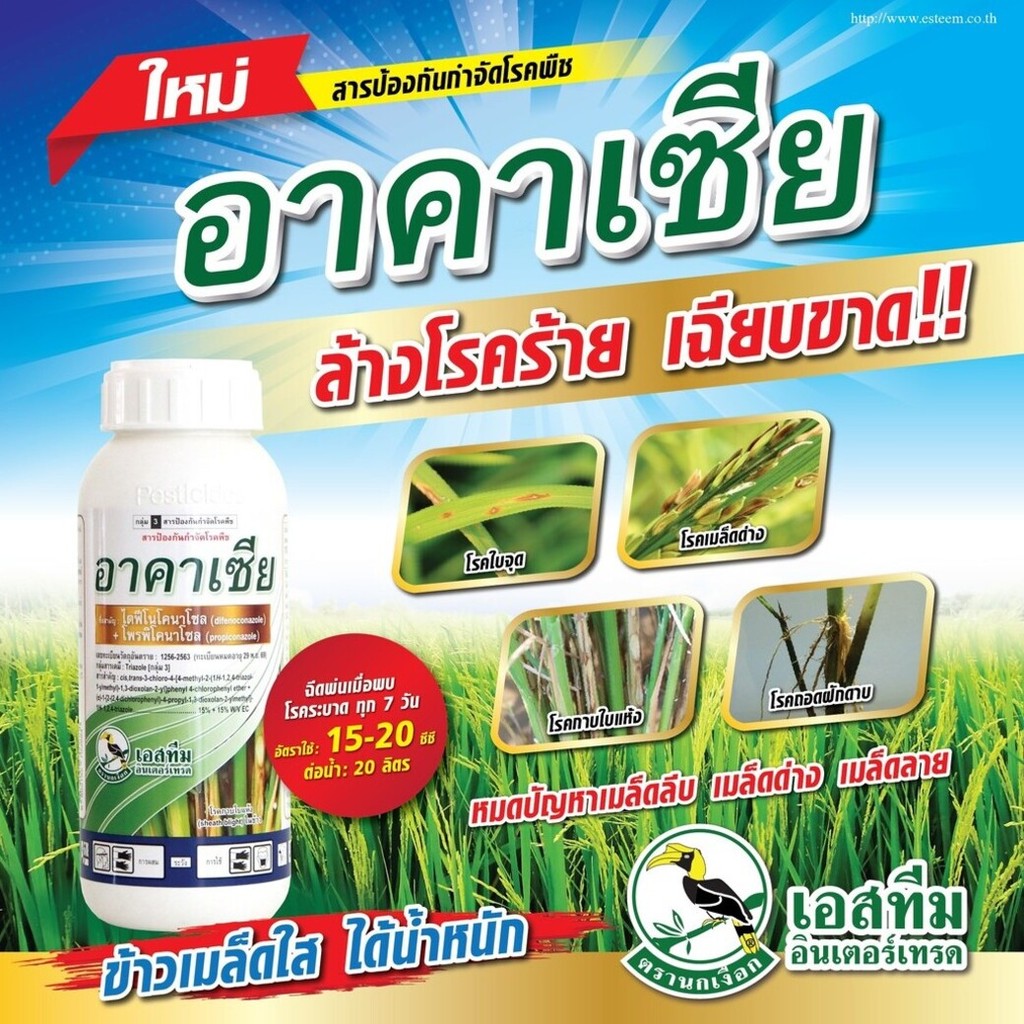 อาคาเซีย ( ไดฟีโนโคนาโซล+โพรพิโคนาโซล 15%+15% EC) ขนาด 500 ซีซี แอนแทรคโนส กาบใบแห้ง ราสนิม โรคใบติด เอสทีม ตรานกเงือก