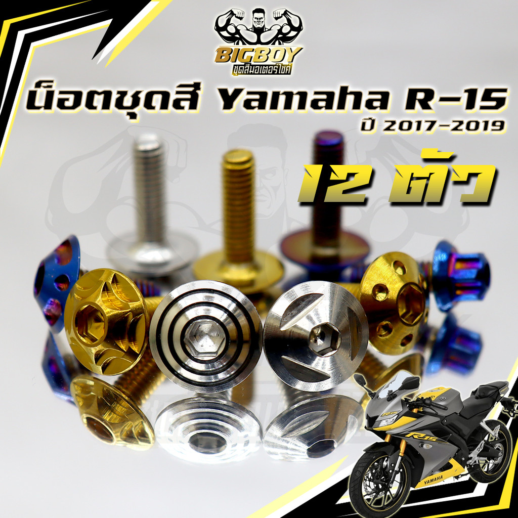 น็อตชุดสีR15 ปี2017-2019(1ชุด12ตัว) น็อตชุดสีอาร์-15 น็อตR15 น็อตเฟรมR15 R-15 น๊อตR15 น็อสแตนเลส (R1