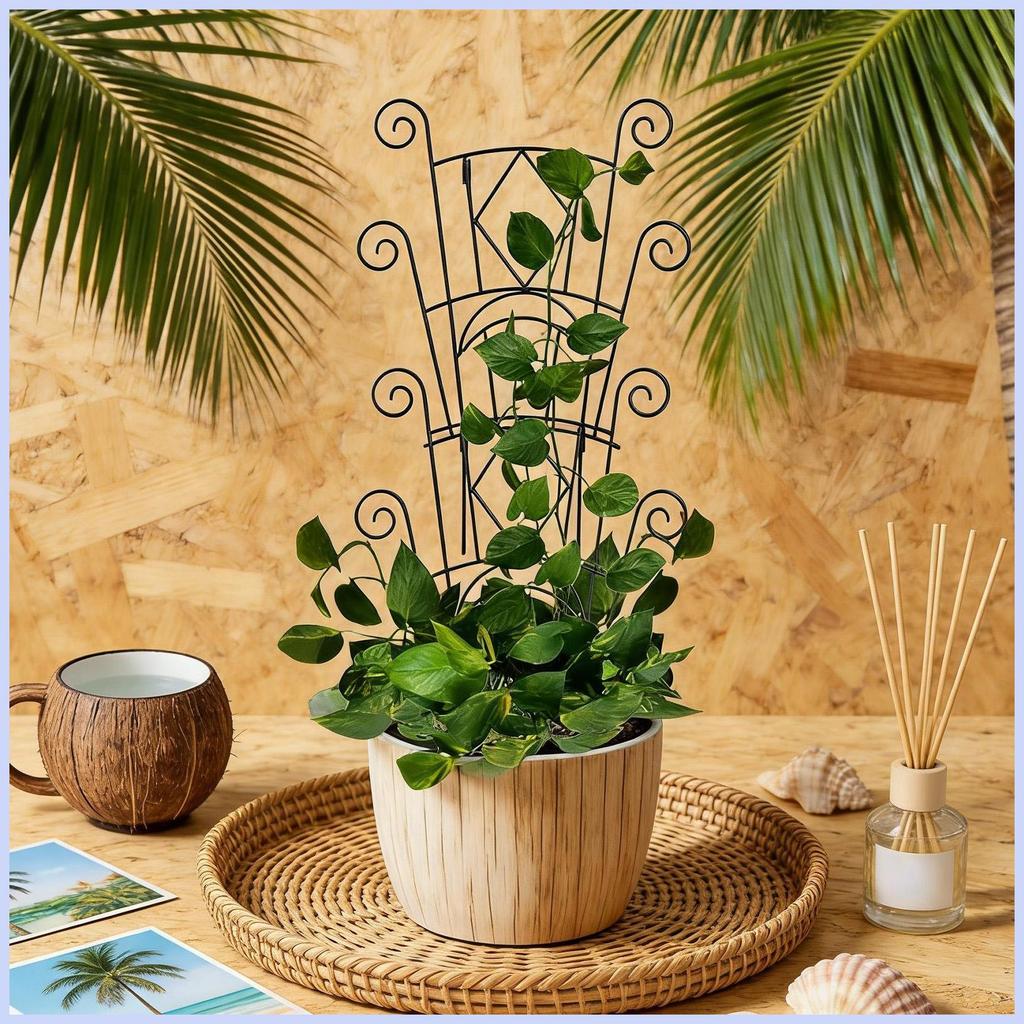 พืช Trellis Garden สนับสนุน Stakes สําหรับพืชปีนเขา Pothos Stakes สําหรับในร่มกลางแจ้งระเบียง Vines 