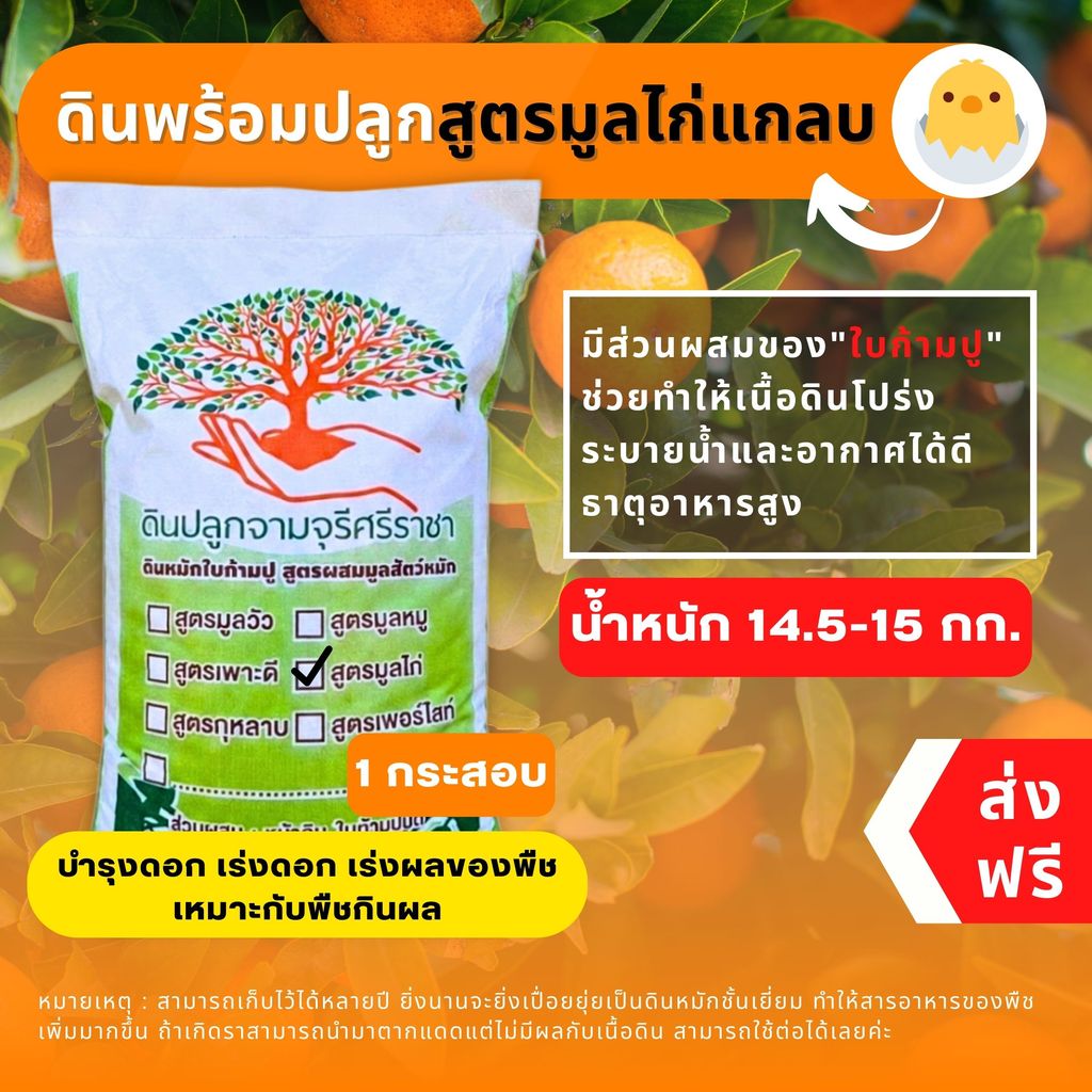 (ส่งฟรี)ดินผสมใบก้ามปูสูตรมูลไก่แกลบ 1 กระสอบ (14.5-15 kg.) ผสมพร้อมปลูก ใช้เวลาจัดส่ง 5-7 วันทำการ