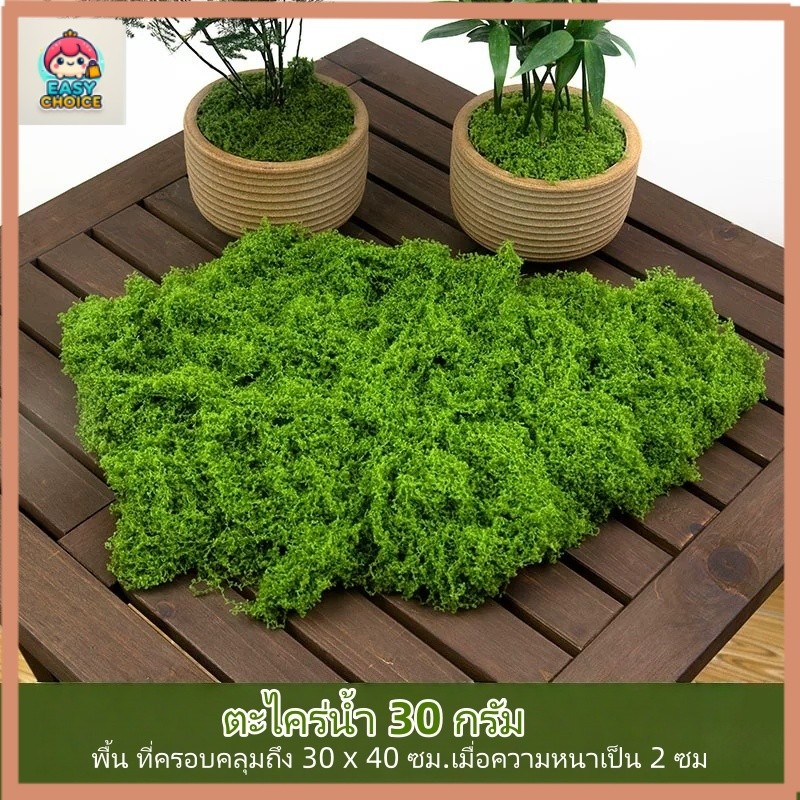 【สต็อกไทย】มอสเทียม 100 กรัม - สำหรับตกแต่งจุลภูมิ DIY บอนไซ สวนหิน และฉากตกแต่ง