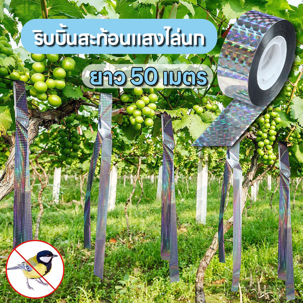 ส่งด่วน เทปกันนก ริบบิ้นสะท้อนแสงไล่นก สำหรับไล่นกในทุ่งนา ในสวน ยาว 50 เมตร
