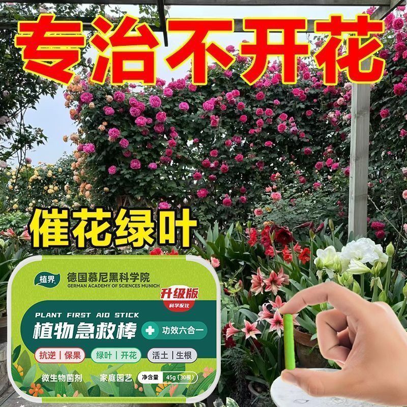 Plant World Plant Quick Help Stick ดอกไม้สารอาหารที่วางจําหน่ายช้าโดยเฉพาะสารอาหารพืชรอบด้าน