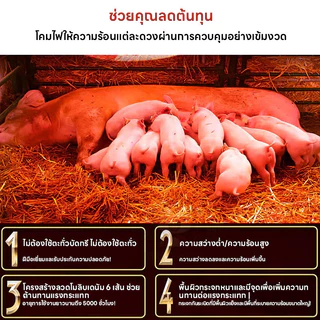 หลอดฟอินฟาเรดทำความร้อน หลอดไฟกกไก่ หลอดไฟกกนก กกหมู ป้องกันระเบิด ประหยัดพลังงาน ฟาร์มไก่ หมู แพะ