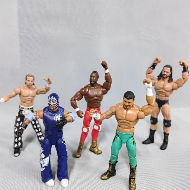 Bulk Cargo Arena Wrestler Tai Wrestling Doll Flair Senna Hardy Action Figure รูป