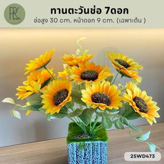 ทานตะวัน 7 ดอก ช่อสูง 30 cm. หน้าดอก 9 cm.