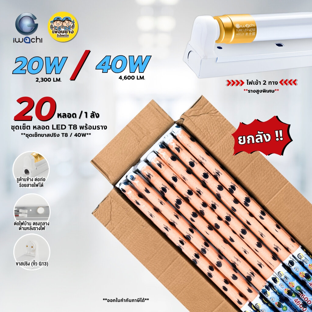 **หลอดพร้อมราง** IWACHI ยกลัง ชุดหลอดพร้อมราง T8 20W 40W ยกลัง 20 หลอด รุ่น TUBE LED ไฟเข้า 2 ทาง เซ็ทขาสปริง
