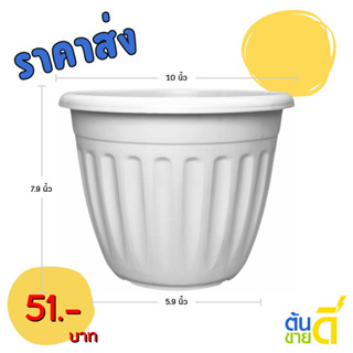 กระถาง มินิมอล โรมัน ขนาด เบอร์ 6 7 8 9 10 11 นิ้ว สีดำ สีขา…