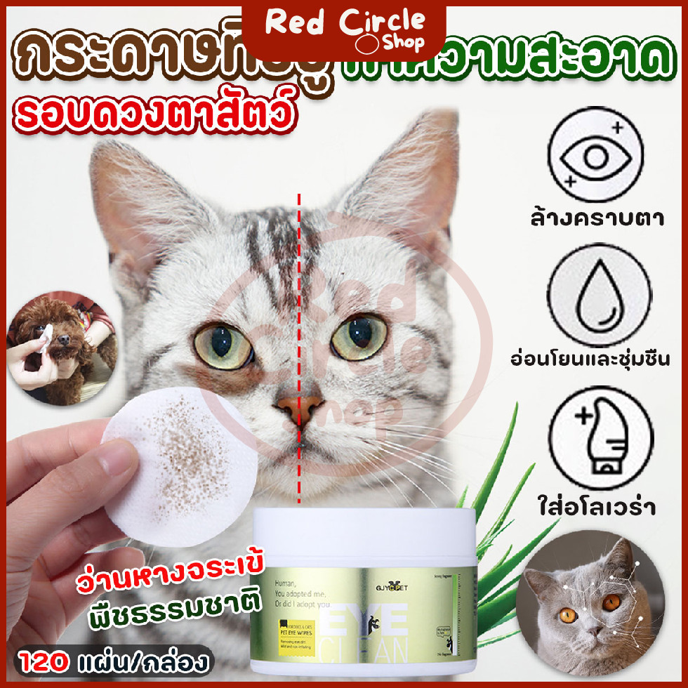 🔴พร้อมส่ง🔴 กระดาษทิชชู่ทำความสะอาด รอบดวงตาสัตว์ 120 ชิ้น/กระปุก