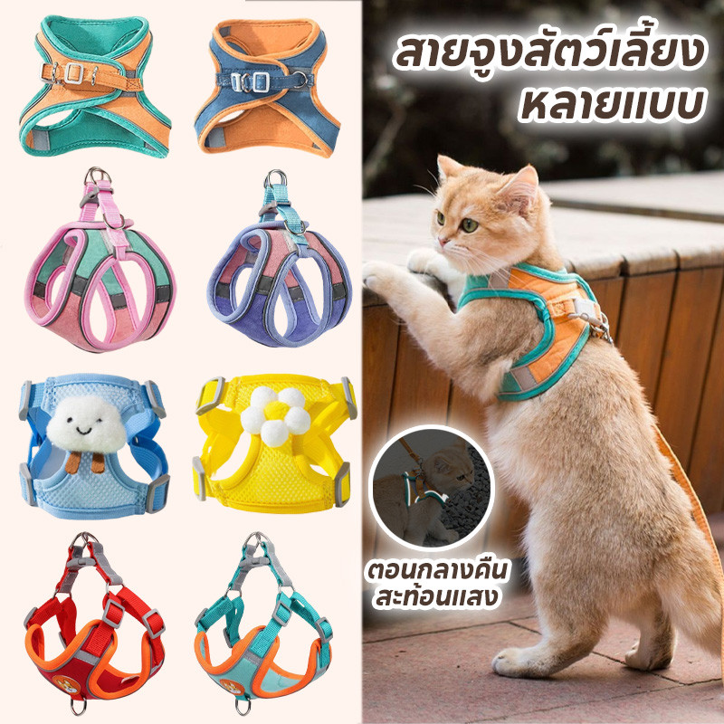 เตรียมจัดส่ง สายจูงสัตว์เลี้ยง ปลอกคอsafety สะท้อนแสง เสื้อรัดอกหมา สุนัข สายจูงแมว สายจูงสัตว์เลี้ยง สายรัดอก