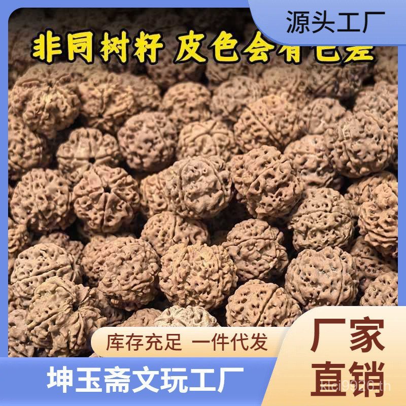 เมล็ดคิงคองธรรมชาติสินค้าชั้นหนึ่งร้อนขายคิงคองโพธิ์เมล็ดเนื้อพรุน5กลีบแล้ววัตถุดิบเสียบไม้เนปาลซาน 