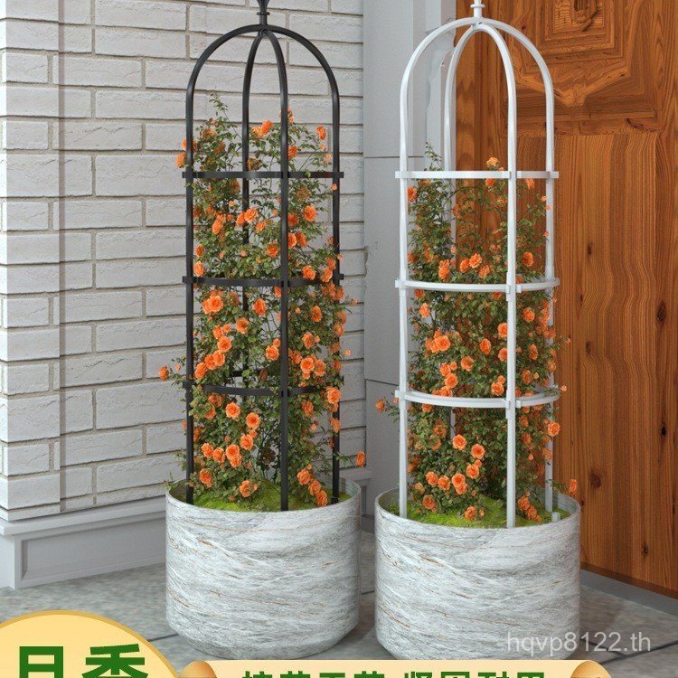 ขาตั้งดอกไม้ Rose Plant Bracket Rod ปีนเขากลางแจ้งพิเศษ Rack ชั้นวางหวายระเบียงเหล็ก Lotus ลวดเหล็ก 