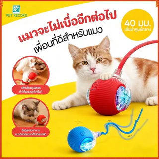 สินค้าใหม่ ลูกบอลกลิ้งไฟฟ้าอัตโนมัติของเล่นสําหรับสัตว์เลี้ยง ของเล่นแมวโต้ตอบ