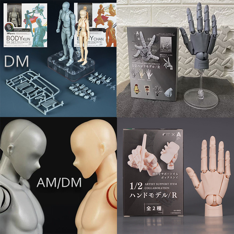 Professional SHF Body Kun Art Mannequin Figures 1/2 รุ่นมือ Sketch Reference รุ่น