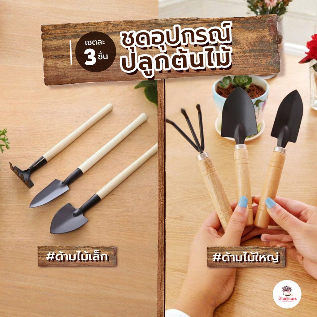 [ เซต 3 ชิ้น ] ชุดอุปกรณ์ปลูกต้นไม้ เซตจัดสวน อุปกรณ์ปลูกแคคตัส เครื่องทำสวน