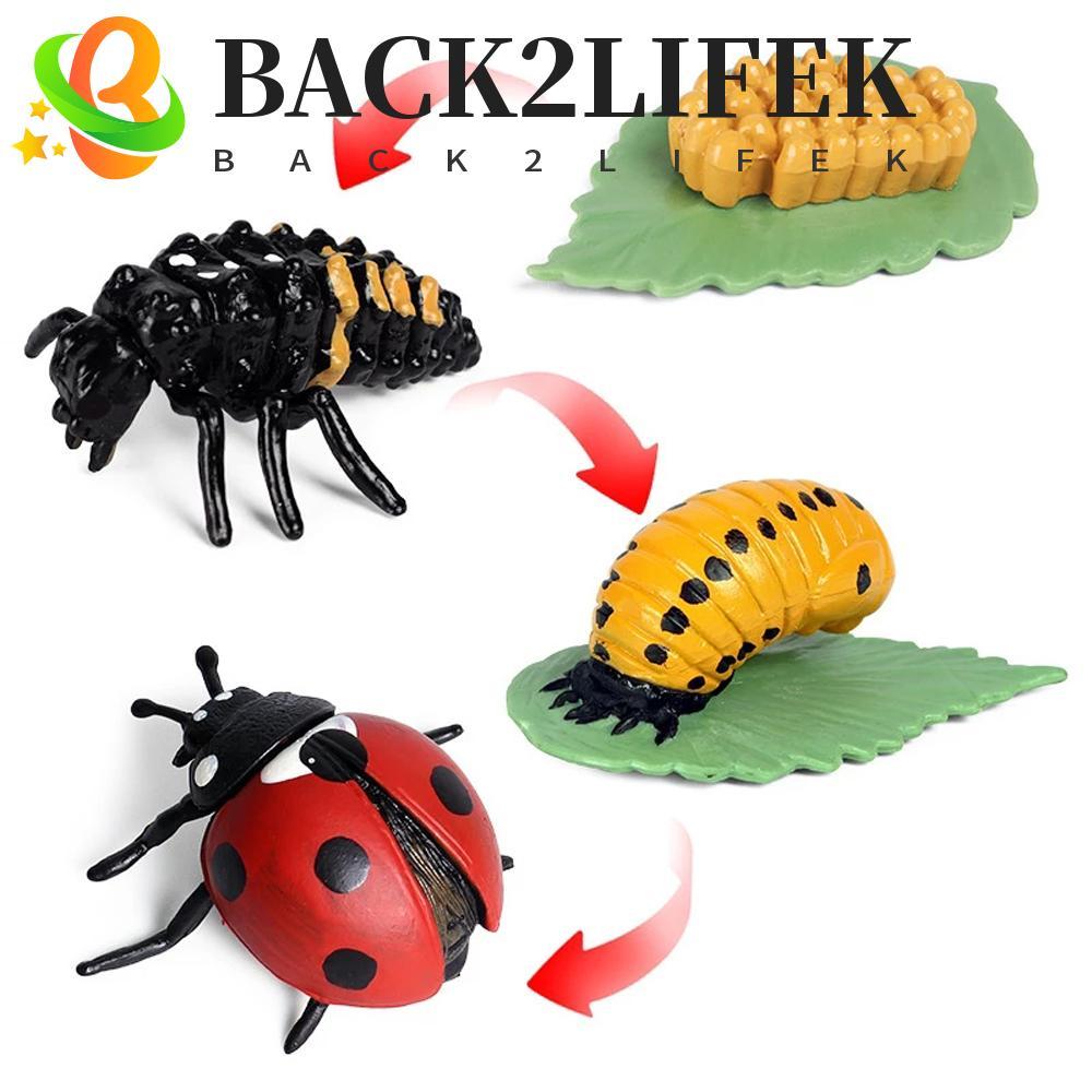 BACK2LIFEK Growth Cycle รุ่นของเล่นเด็กสําหรับเด็กการสอนวัสดุพลาสติกรุ่นแมลงสัตว์ไก่ตัวเลขการกระทํา