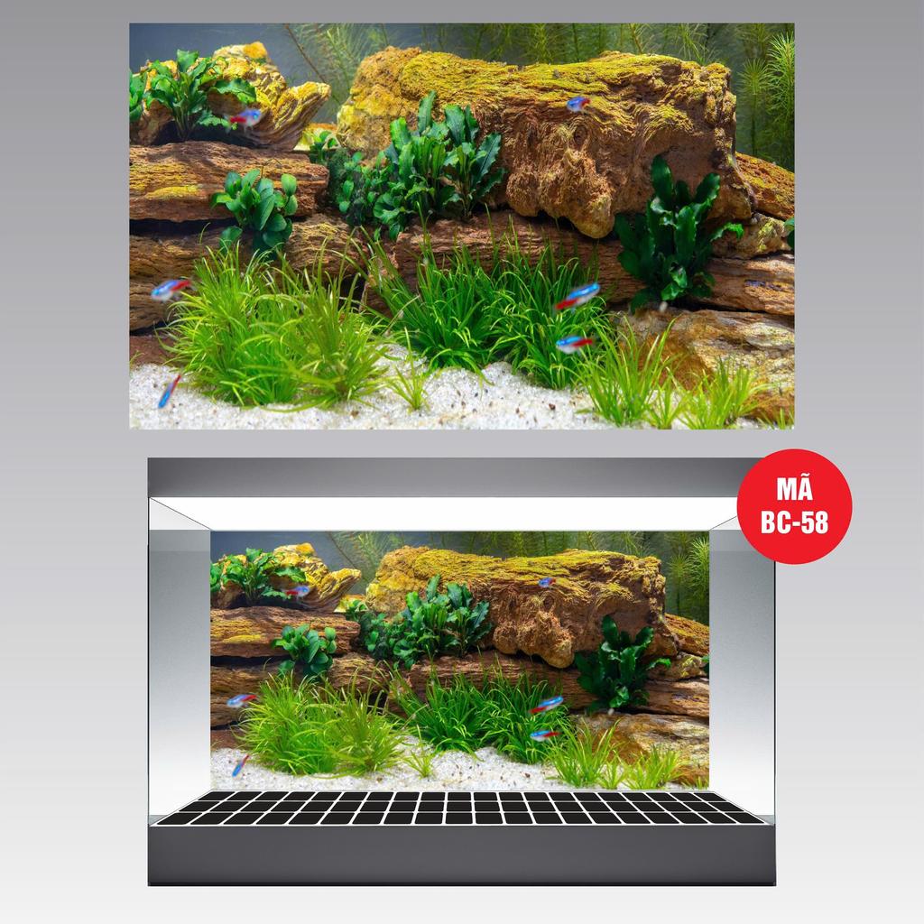 (BC58) 3D FISH POOL PAINTING (BACK PAINTING) _VIP DECAL_MT 58