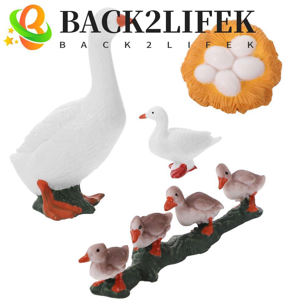 BACK2LIFEK Life CYCLE ตัวเลขเด็ก 4 ชิ้น/เซ็ต Hen สัตว์ปีก Growth CYCLE Miniature ของเล่นเพื่อการศึกษ