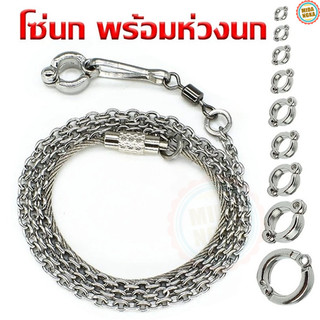 โซ่คล้องขานก พร้อมห่วงเปิดนก โซ่ขานก ห่วงขานก ห่วงนก โซ่นก สแตนเลส 50-80ซม หนา0.8mm ป้อนกันนกหลุด