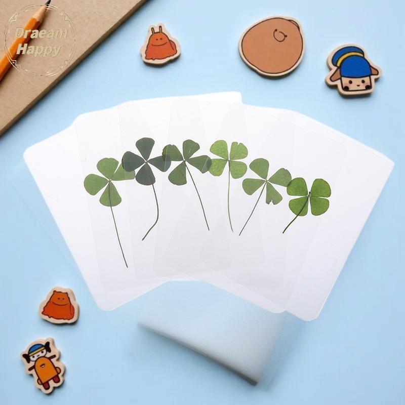 DH 1/5/10 ชิ้น Luy Clover โปสการ์ดหญ้าธรรมชาติโปร่งใส Wishing การ์ดสําหรับบุ๊คมาร์ค TH