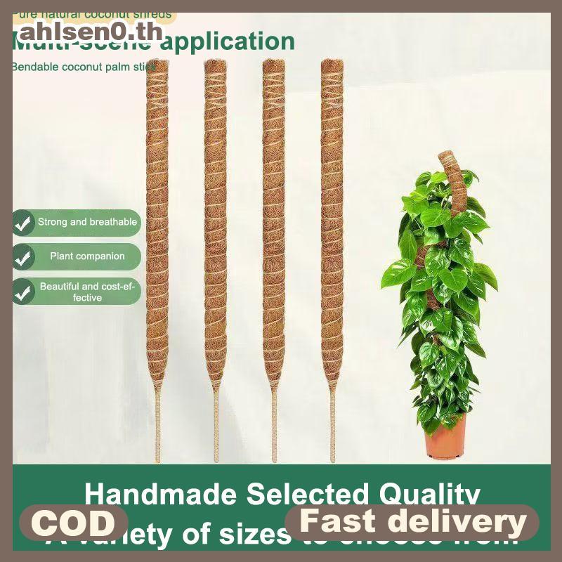 Ahlsen0 1PCS Moss Pole Plant Support - Plant Trellis Moss Pole สําหรับพืช Monstera - Moss Poles สําหรับพืชปีนเขาพืช Stis สนับสนุน th