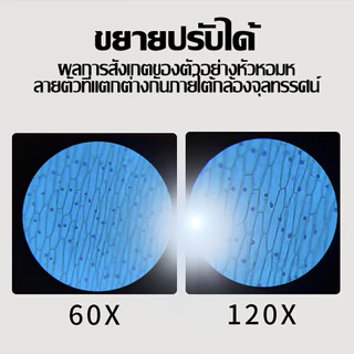 เด็กกล้องจุลทรรศน์แบบพกพา 60-120x สําหรับเด็กห้องปฏิบัติการมือถือกล้องจุลทรรศน์พร้อมแว่นขยายไฟ นํา