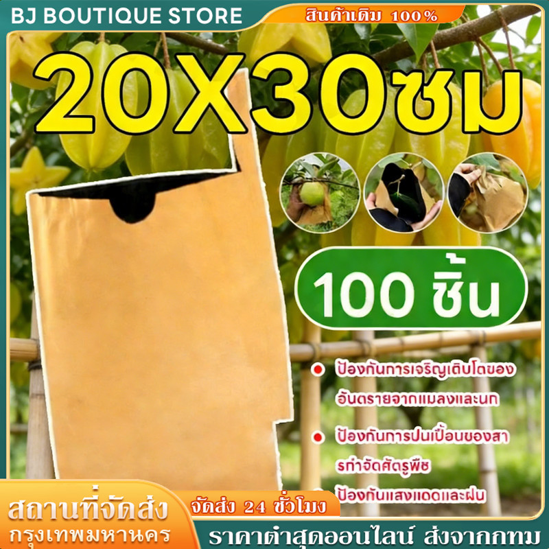 ถุงห่อฝรั่ง/มะม่วงคาร์บอน 20*30 ซม. 100 ใบ - แพ็ค 2 ชั้น กันแมลงวันทอง ปกป้องผลไม้จากศัตรูพืช