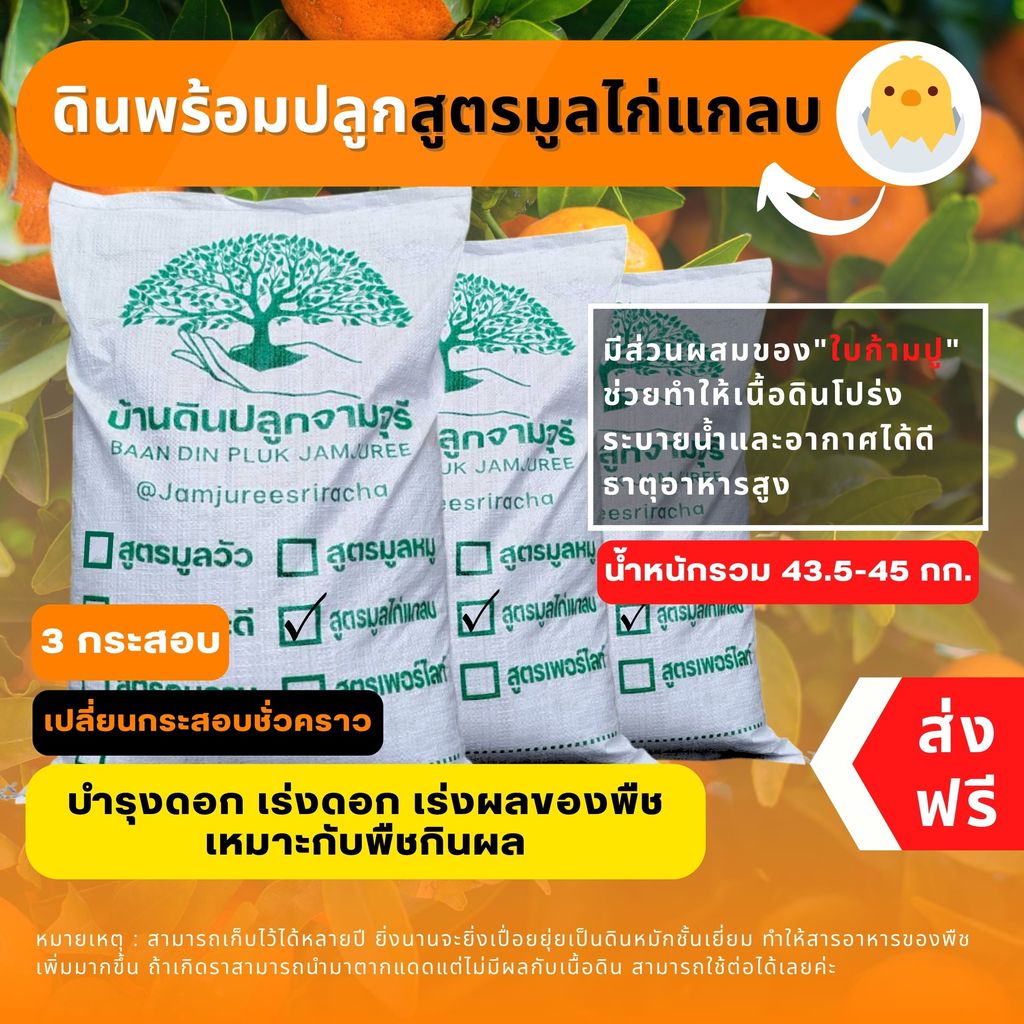 (ส่งฟรี)ดินผสมใบก้ามปูสูตรมูลไก่แกลบ 3 กระสอบ (14.5-15 kg.) ผสมพร้อมปลูก ใช้เวลาจัดส่ง 5-7 วัน ราคา ถูกที่สุด ดีลบีเคเค แกลเลอรีภาพที่ 7