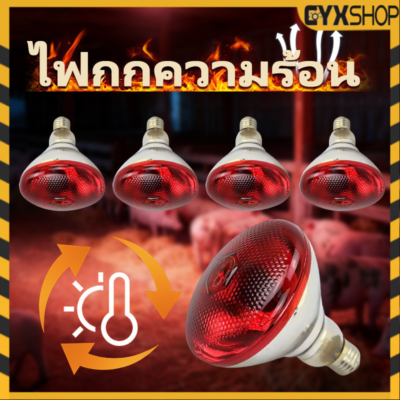 🔥 รุ่นใหม่2026 ไฟกกสัตว์ หลอดไฟอินฟาเรด หลอดไฟกกสัตว์ ให้ความอบอุ่นสัตว์ 100/150/200/250/275W