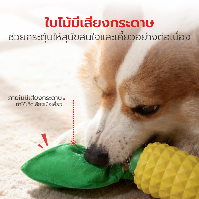 Pet Star لعبة مطاط طبيعي سميكة للكلاب — صورة 5