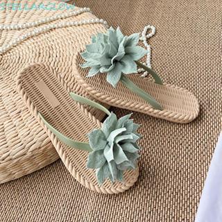 รองเท้าแตะชายหาด กันลื่น สบาย ๆ สำหรับวันหยุดและใช้งานกลางแจ…