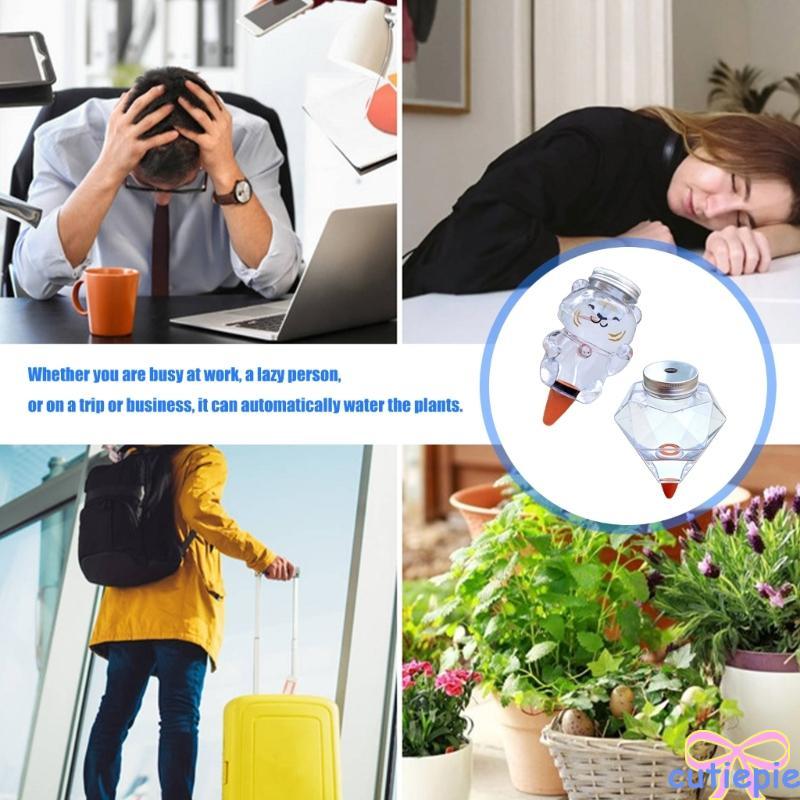 Cutie Plant Watering Globe Set Water Globe Plant หลอดไฟรดน้ํา Globe