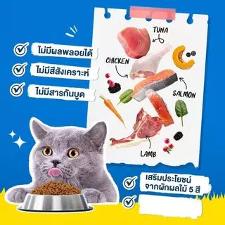 Pramy Carnivore พรามี่ คาร์นิวอร์ อาหารเม็ดแมว สำหรับแมวโต ขนาด 10 kg