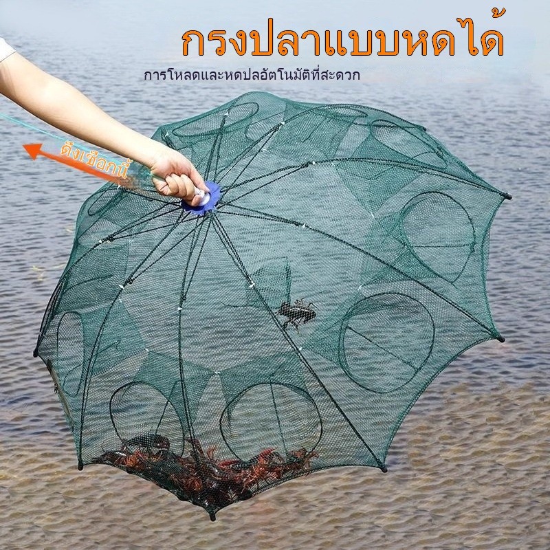 Sikawei ปลาร่มพับตาข่ายกรงกุ้ง, ปู, ปลาดักหล่อปลาสุทธิกุ้งเครื่องมือประมง ราคา ถูกที่สุด ดีลบีเคเค แกลเลอรีภาพที่ 7