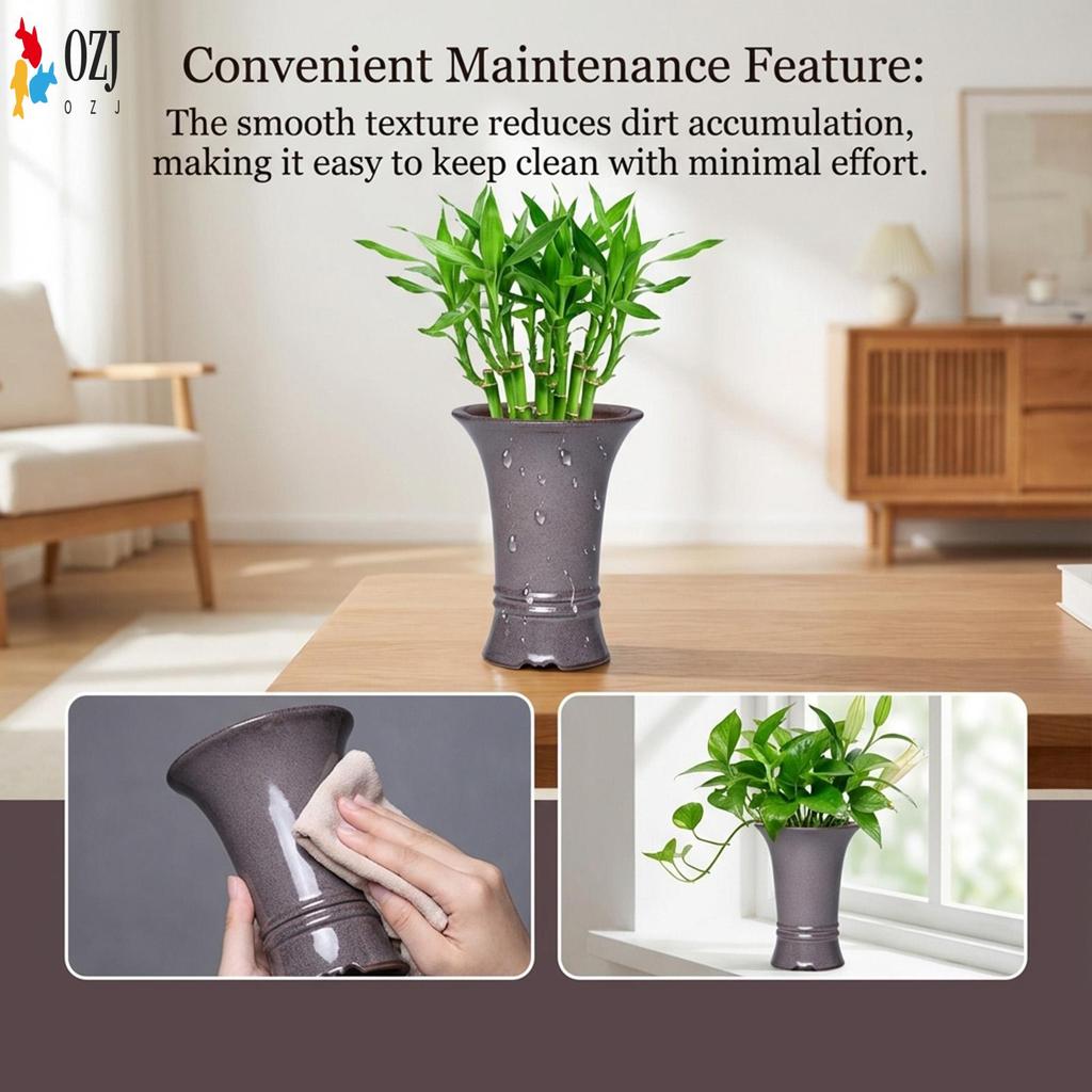 แจกันทรายสําหรับพืชไฮโดรโปนิกส์ทนทานและระบายอากาศได้เหมาะสําหรับตกแต่งบ้าน Lily Pothos