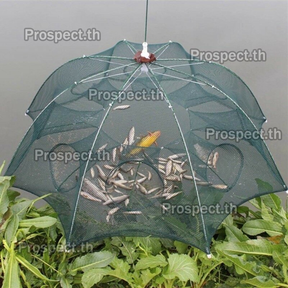 10ช่อง ตาตกกระชังปลา มุ้งดักปลา 4 6 8 10 ช่อง ตาข่ายดักปลา กระชังปลา ที่ดักปลา ที่ดักกุ้ง พับเก็บได้ ร้านไทย - รูปที่ 4
