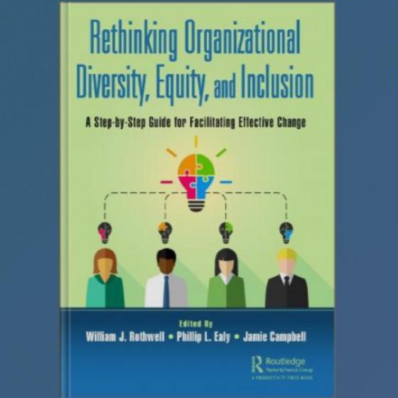 Rethinking Organizanal Diversity, Equity, and Inclusion Book