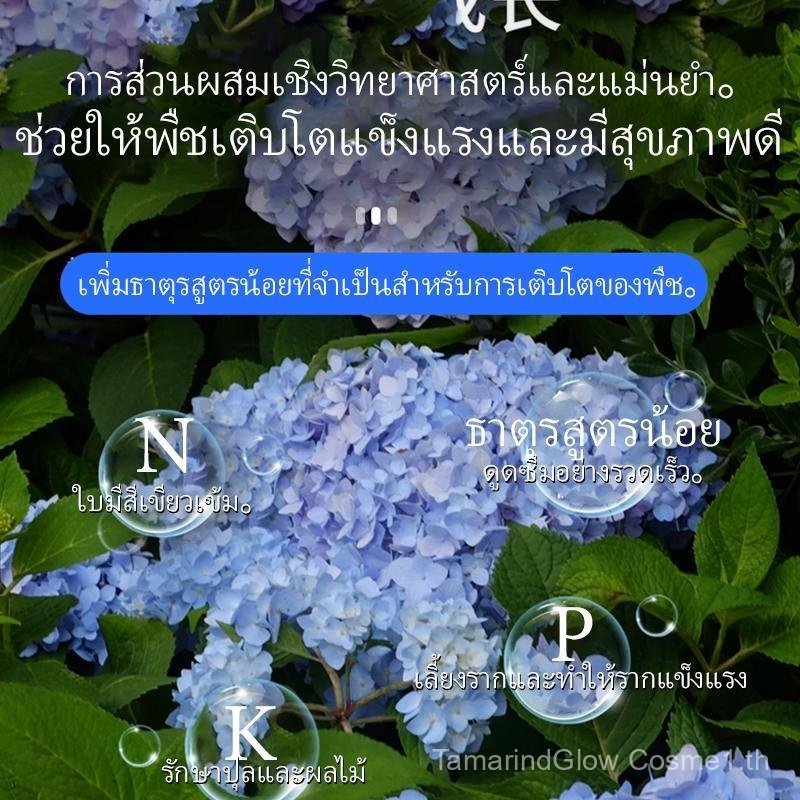 ปุ๋ยเร่งดอกละลายน้ำ สำหรับต้นไม้ทุกชนิด ปุ๋ยบำรุงดอก เพิ่มสีสันและความสวยงาม，แพลงก์ตอนพืช，ปุ๋ยบำรุงดอกปุ๋ยละลายน้ำ、ต้นขี้กา、ต้นเซเลอรี่、ต้นไม้อลูมิไล、ต้น โยนี - รูปที่ 2