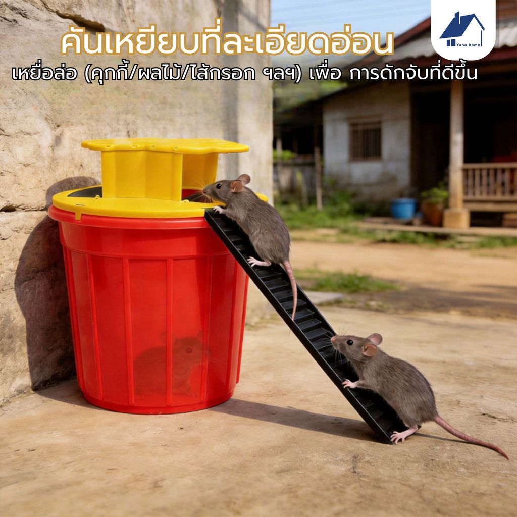 ฝาดักหนู ฝาถังดักหนู ถังดักหนู สําหรับหนูเจลลี่ ​ทนทาน กับดักหนู ที่ดักหนู กรงหนู ใช้ซ้ำได้ ทนทาน กับดักหนู