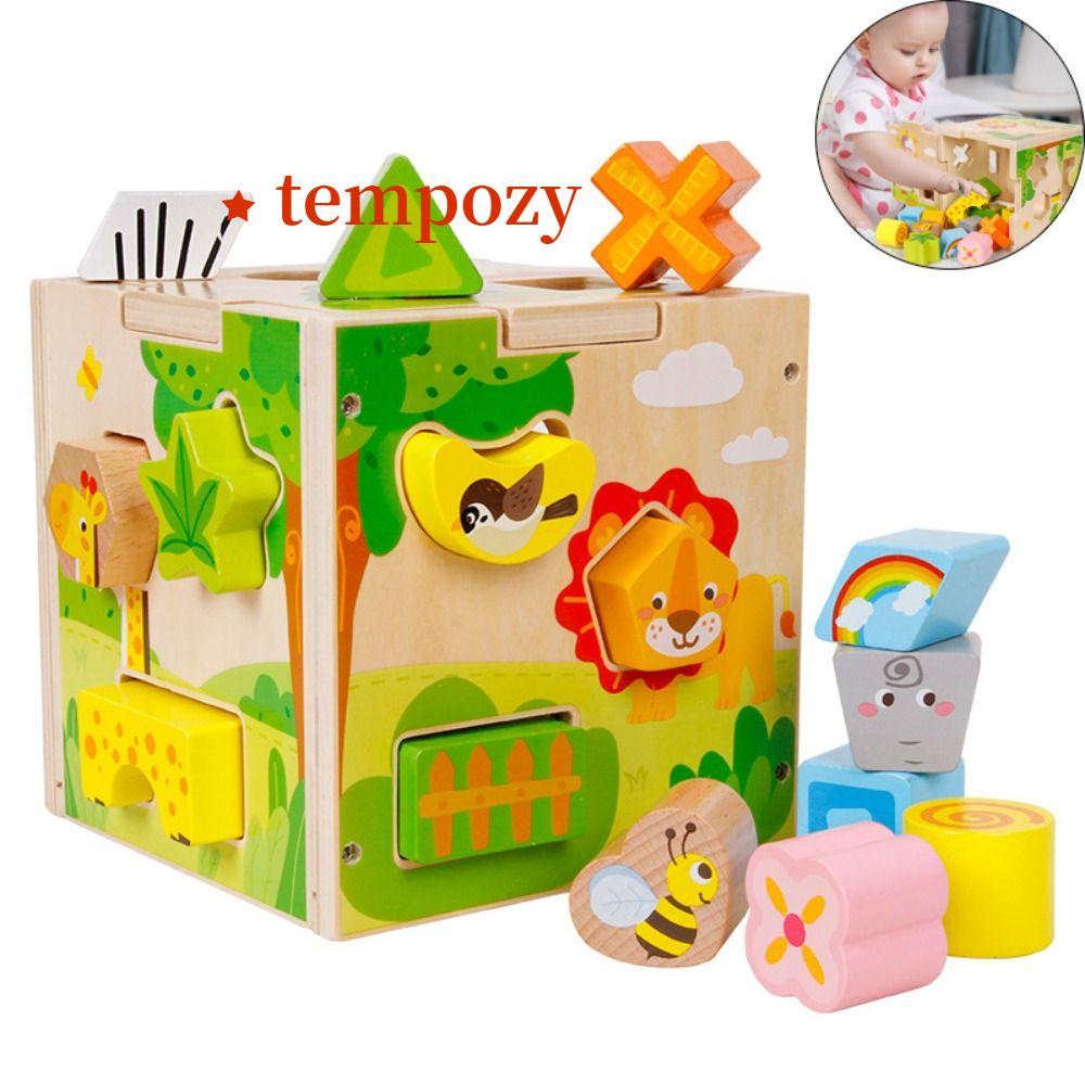 TEMPOZY รูปร่าง Sorter ของเล่น, Vintage ไม้การเรียนรู้ Cube กิจกรรมไม้ Cube, คุณภาพสูงรูปแบบการจับคู