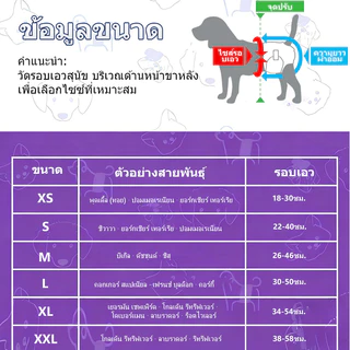 🐶Casoft ผ้าอ้อมสุนัข สำหรับตัวผู้และตัวเมีย | เยื่อซึมซับนำเข้า 5 ชั้น ดูดซับเร็ว แห้งสบาย กันรั่วสูงสุด | ขนาด S-XL (ตัวผู้) XS-XXL (ตัวเมีย) ไซส์ครบ 12 ชิ้น/แพ็ค จัดส่งเร็ว COD