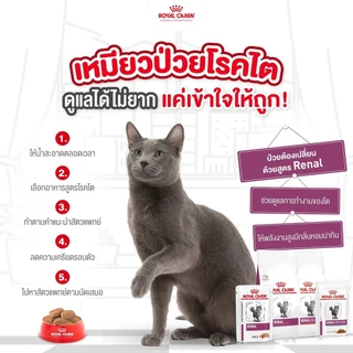 Royal canin อาหารเม็ดแมว สูตรโภชนาการเฉพาะ ทางการแพทย์ขนาด 1.5kg