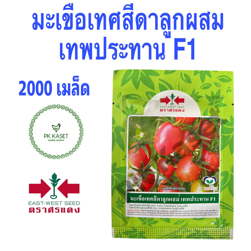 เมล็ดมะเขือเทศสีดาลูกผสม เทพประทาน F1 จำนวน 2000 เมล็ด ซองใหญ่
