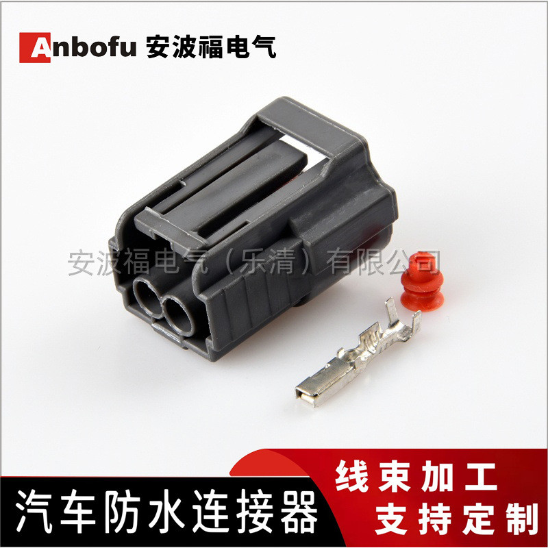 6195-0043 Volkswagen Santana Zhijun Passat Polo ปลั๊กหัวฉีดน้ํามันเชื้อเพลิง DJ7022B-2.2-21