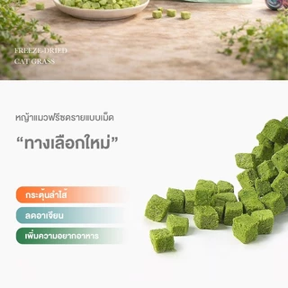 😺หญ้าแมวฟรีซดราย 100g ช่วยขับก้อนขน บำรุงระบบย่อย อาหารเสริมแมวธรรมชาติ