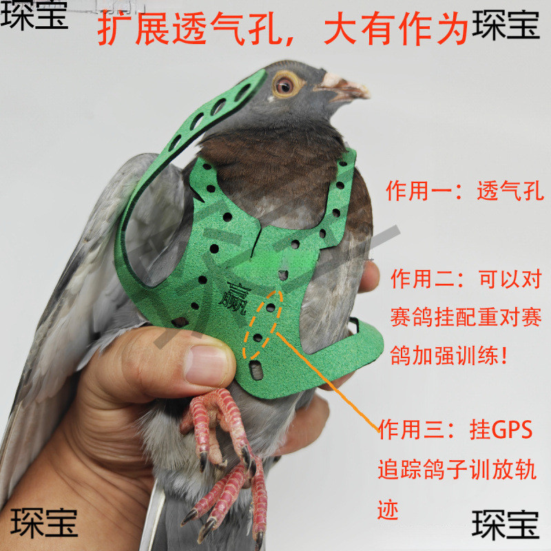 Pigeon Flying Rope Believe Pigeon Flying Traction Pigeon Weight Training Pigeon Walking Bird Pigeon 