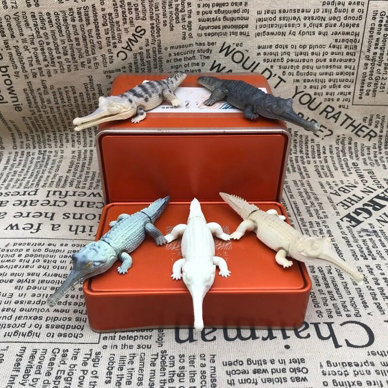 สินค้าใหม่ สินค้าจํานวนมาก Bandai Biological Illustrated Book Nile Crocodile Gangesis Crocodile Simu