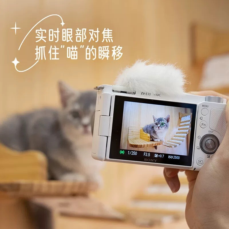[สต๊อกพร้อม] Sony ZV-E0ZV-E0K-0II Case กล้อง Mirrorless 4K Video HD Camera dzldf01/2026.1.7